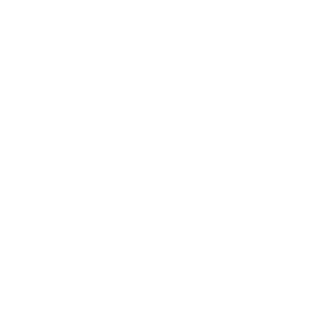 Latinus Business Solutions